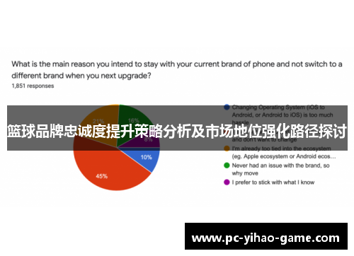 篮球品牌忠诚度提升策略分析及市场地位强化路径探讨 篮球品牌忠诚度提升策略分析及市场地位强化路径探讨